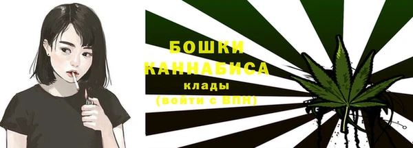 соль ск Липки
