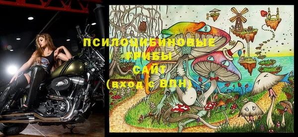 герыч Лиски