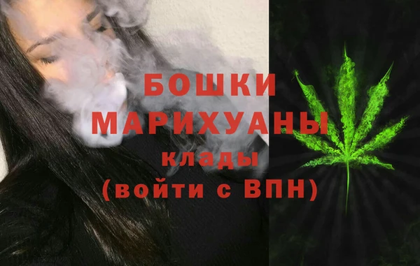соль ск Липки