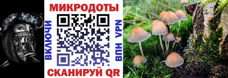 где можно купить наркотик  Плавск  Галлюциногенные грибы мицелий 